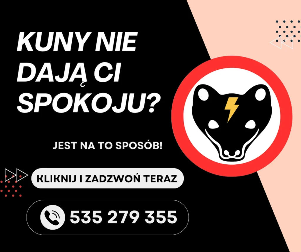 kuny_nie_daja_ci_spokoju_kliknij_zadzwon_535279355