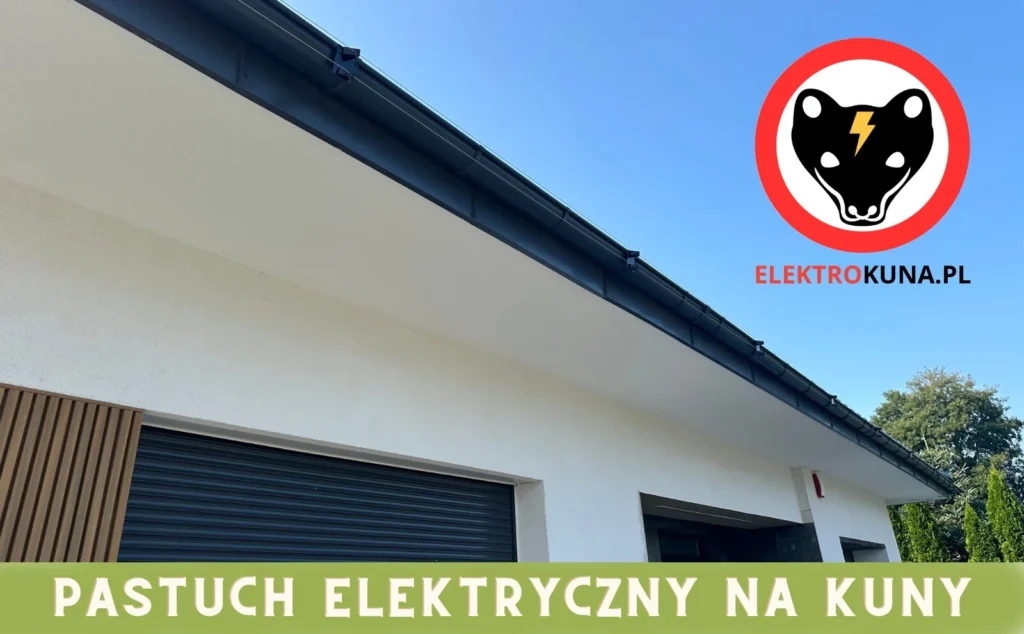 pastuch-elektryczny-na-kuny pastuch elektryczny na kuny