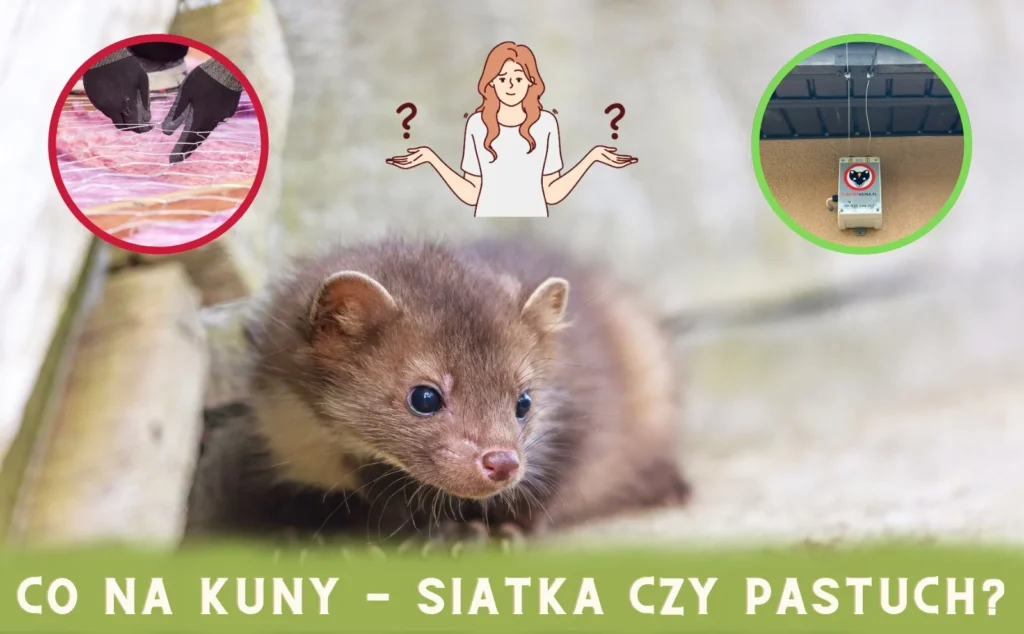 siatka-na-kuny siatka na kuny