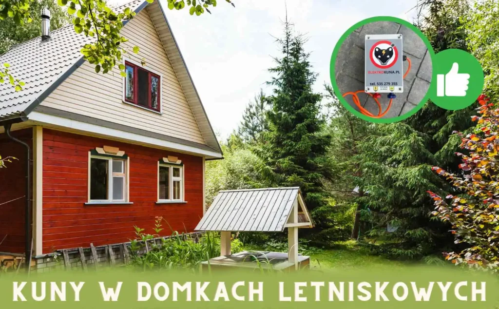kuny_w_domkach_letniskowych kuny w domkach letniskowych