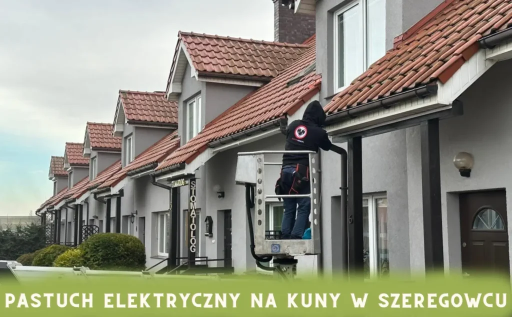 pastuch_elektryczny_na_kuny_w_zabud_wie_szeregowej pastuch elektryczny na kuny w zabudowie szeregowej