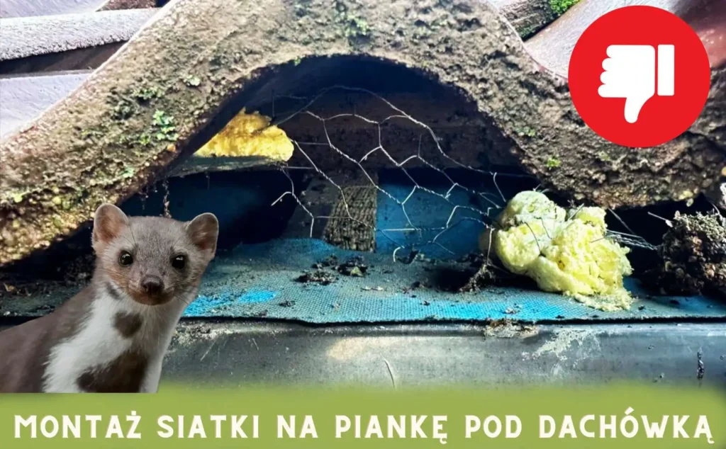 siatka_na_piankę siatka na piankę pod dachówką