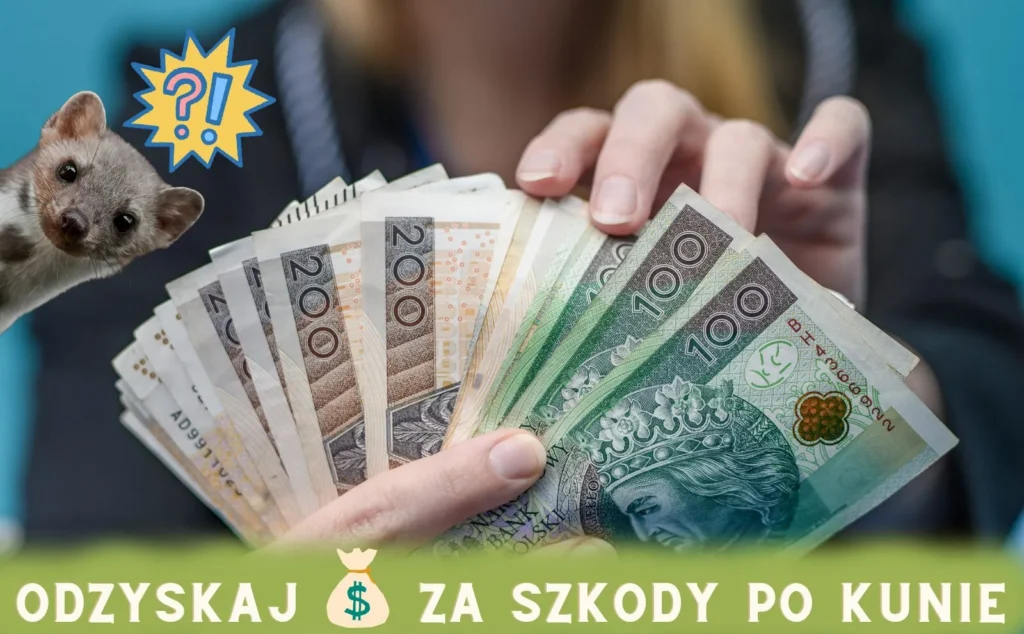 szkody_po_kunie szkody po kunie